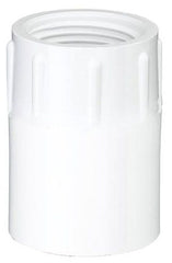 TIGRE Tigre 435-007 Female adapter slip x FIPT 3/4 (100 per box)