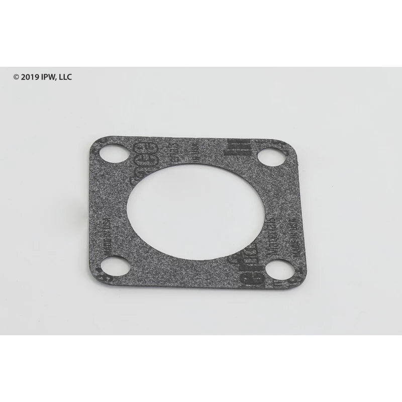 XYLEM Xylem 313200 Strainer Gasket