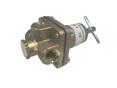 WATTS Watts 328050 Compact Liquid Pressure Regulator 3/8 Inch