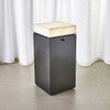 UTTERMOST Uttermost R25131 Short Floor Lamp Black Alabaster