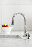 HANSGROHE Hansgrohe 4793000 Pull-out Kitchen Faucet 1.75 Gpm