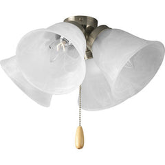 PROGRESS LIGHTING Progress Lighting p2643-09 Fan Light Kit Brushed Nickel