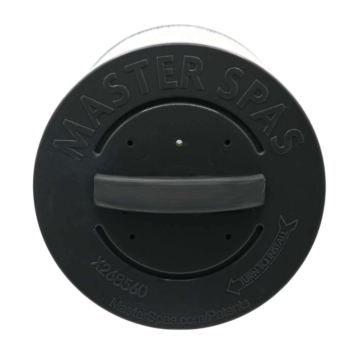 MASTER SPAS Master Spas X268560 2025 Twilight Legend H2X MP Signature Filter 6 in x 9 in X268572