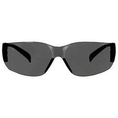 3M 3M 90954-BU10-NA Outdoor Safety Eyewear L 10 Pack