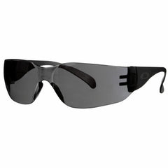 3M 3M 90954-BU10-NA Outdoor Safety Eyewear L 10 Pack