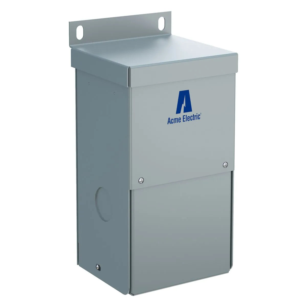ACME ELECTRIC Acme Electric T181063 Buck-Boost Transformer 150 VA (5.13 in x 5.5 in x 11.62 in)
