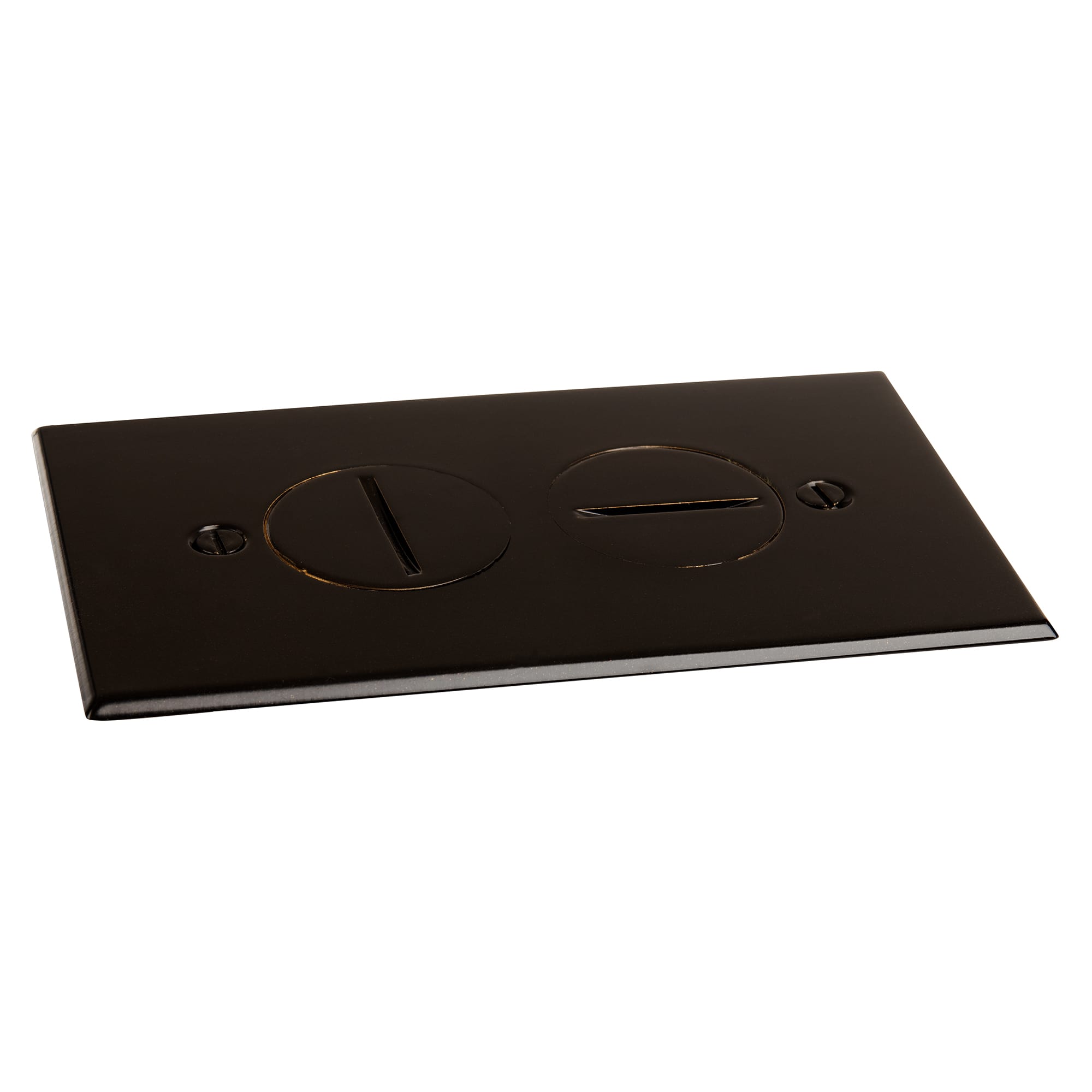 LEW ELECTRIC Lew Electric RRP-2-DB Duplex Floor Plate Assembly (No Box) 15A (4-5/8 x 2-7/8) RRP-2-DBR