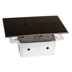 LEW ELECTRIC Lew Electric RRP-2-DB Duplex Floor Plate Assembly (No Box) 15A (4-5/8 x 2-7/8) RRP-2-DBR