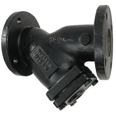 MUELLER STEAM SPECIALTY Mueller Steam Specialty M6704619 Model 758 Cast Iron Flanged Perforated Wye Strainer Class 125 (10 in) (M75810)