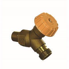 WOODFORD Woodford 21CP-PC-MH Model 21 Wall Faucet (4 in x 4 in x 3 in)