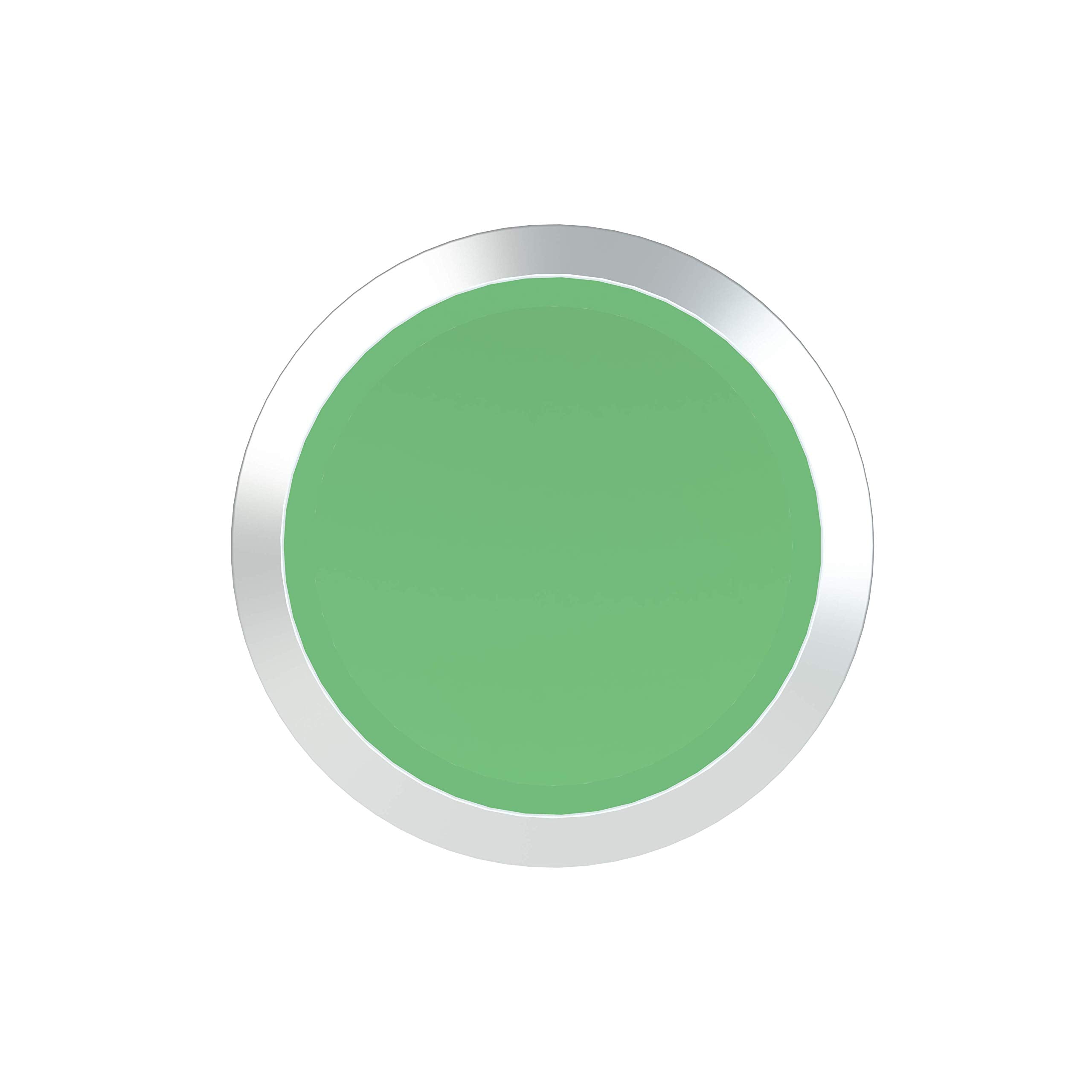 ABB Abb MP1-30G Momentary Flush Pushbutton 22 mm (Chrome Bezel)