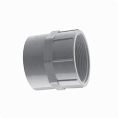IPEX Ipex 077050 Conduit Adapter Female Thread (4 in)