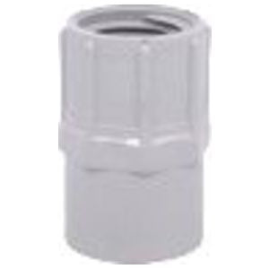 IPEX Ipex 077050 Conduit Adapter Female Thread (4 in)