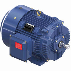 MARATHON MOTORS Marathon Motors GT1036A General Purpose Motor 50 hp (326TS frame)