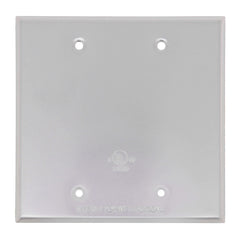 SOUTHWIRE Southwire WC2B 2-Gang Blank Weatherproof Cover (4.57 in x 4.62 in)