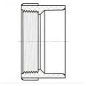 LESSO Lesso LP101-015 PVC DWV Female Adapter (1-1/2 inches)