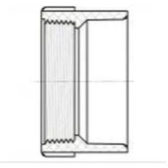 LESSO Lesso LP101-015 PVC DWV Female Adapter (1-1/2 inches)