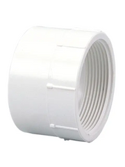 LESSO Lesso LP101-020 2 inches PVC DWV Female Adapter 2PDFA (2 in x 2 in)