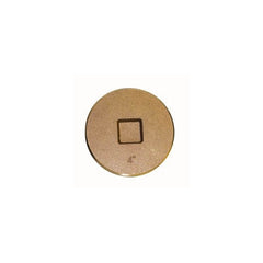 LEGEND VALVE Legend Valve 302-626 Countersunk cleanout plug (2-1/2 in)