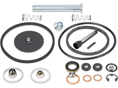 ENERPAC Enerpac P141K2 Repair Kit (Each) 100189425