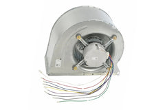 RHEEM Rheem AS-105809-16 Blower Assembly (Each) RHMAS-105809-16