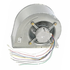 RHEEM Rheem AS-105809-16 Blower Assembly (Each) RHMAS-105809-16