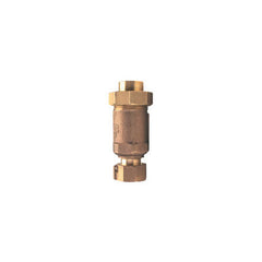 WILKINS Wilkins 12UFX12F-700 Dual check valve 1/2 inches (12UFX12F-700)