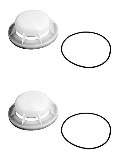 PENTAIR Pentair 08650-0079 Sta-Rite Float Assembly with O-Ring for Pool Skimmers