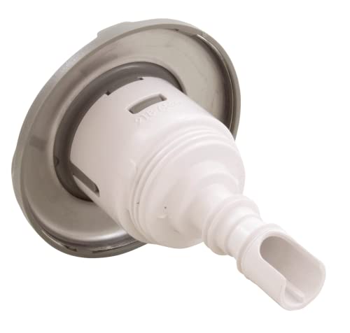 WATERWAY PLASTICS Waterway Plastics 229-8457S Jet Mini Storm Twin ROTO SS/GY