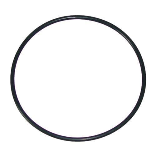 WATERWAY PLASTICS 805-0239 POOL O-RINGS & GASKETS