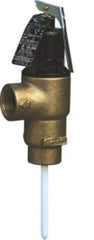 Cash Acme 23258-0150 FVX Series 3/4 in. Brass FNPT 150# 210 Relief Valve