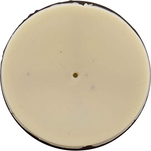 PENTAIR Pentair 51516100 Check Valve Kit For Pool and Spa Filters