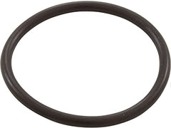 WATERWAY PLASTICS 805-0224B POOL O-RINGS & GASKETS
