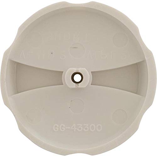 BALBOA WATER GROUP Balboa Water Group 43300-CW Handle, Raised Subassembly - Classic White