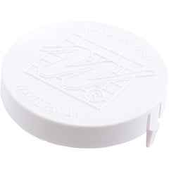 WATERWAY PLASTICS 519-6460WW POOL REPLACEMENT PARTS