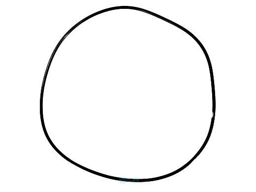 PENTAIR 59021000 O-RINGS & GASKETS