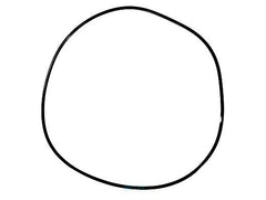 PENTAIR 59021000 O-RINGS & GASKETS