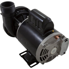 Waterway Plastics 3410030-1E Iron Might Pond Pump 115V 1/15 HP