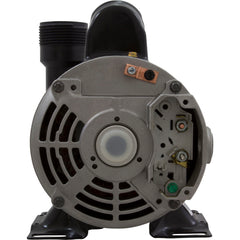 Waterway Plastics 3410030-1E Iron Might Pond Pump 115V 1/15 HP