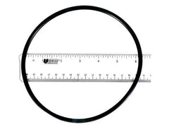 PENTAIR 39200300 O-RINGS & GASKETS