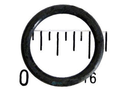PENTAIR 39010000 O-RINGS & GASKETS
