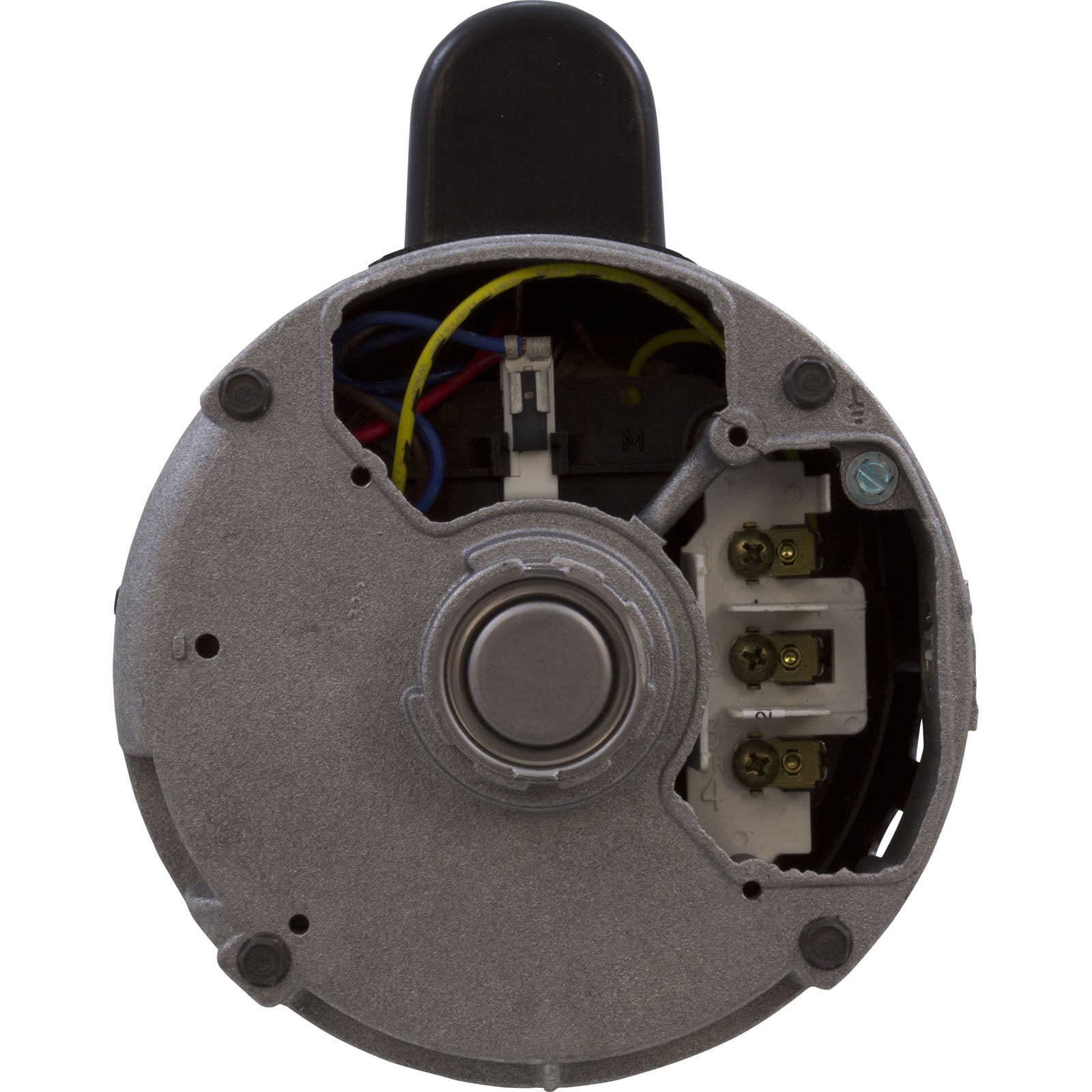 CENTURY MOTORS Century B976 Pool Pump Motor 1.5 HP 56C Frame