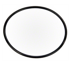 PENTAIR 355227Z O-RINGS & GASKETS