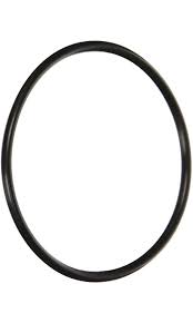 PENTAIR 355331Z O-RINGS & GASKETS