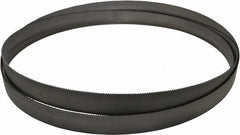 LENOX Lenox 79638CLB113355 Welded Bandsaw Blade 11 Ft Bi-metal