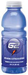Gatorade 20406 G2 Grape, 20 Oz. Bottle (24 Count)