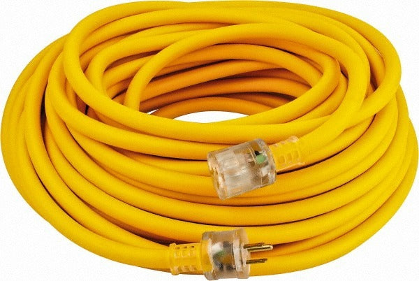 SOUTHWIRE Southwire 1769SW0002 Outdoor Extension Cord 100 Ft 12/3