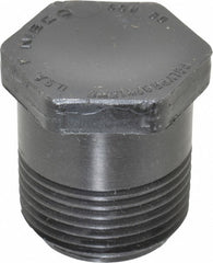 NIBCO Nibco CC03650 Hex Plug 1 in Polypropylene Schedule 80 Mpt