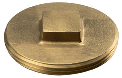 SIOUX CHIEF Sioux Chief 876-RS20 Raised Square Head Cleanout Plug (2 in)