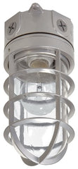 COOPER LIGHTING SOLUTIONS Cooper Lighting VT100G 100W Vapor Tight Incandescent Floodlight